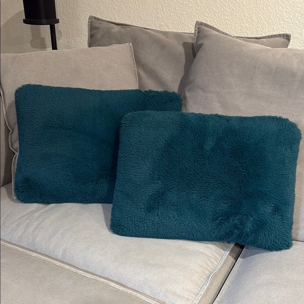 Anthropologie Teal Plush Pillows